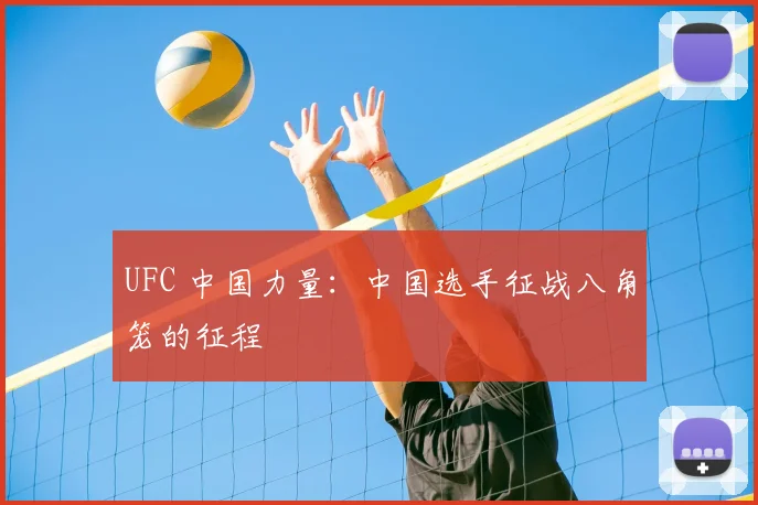 UFC 中国力量:中国选手征战八角笼的征程